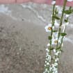 Mini Daisy Häkelkette mit Perlmutt, Weiße Mikro Blume Lariat, Perlmutt Perlen Lange Wickelkette