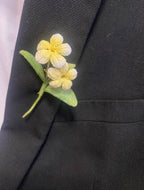 Frangipani Blume Häkelbrosche, gehäkelte Brosche, Blumenschmuck, Miniatur, 2 Blumen