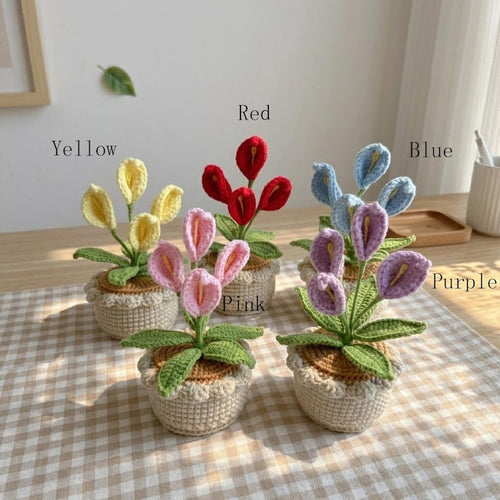 Gehäkelte Calla-Lilienblume im Topf, handgefertigt, Schreibtischdeko, 14 cm, Geburtstagsgeschenk