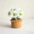 Gehäkelte Topfblumen Vergissmeinnicht, Baumwollgarn Tischdeko, Bürogeschenk