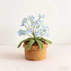 Gehäkelte Topfblumen Vergissmeinnicht, Baumwollgarn Tischdeko, Bürogeschenk