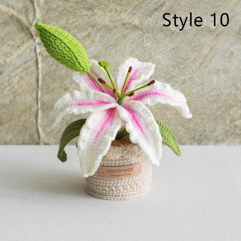 Gehäkelter Blumenstrauß Topfpflanze, Handgestrickte Blume, Ewige Wohnkultur