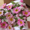 Rosa Mikro Häkelblume Türkisch Oya Halskette: Quarz Perlen Lariat, lange Verpackung Blumen Schmuck